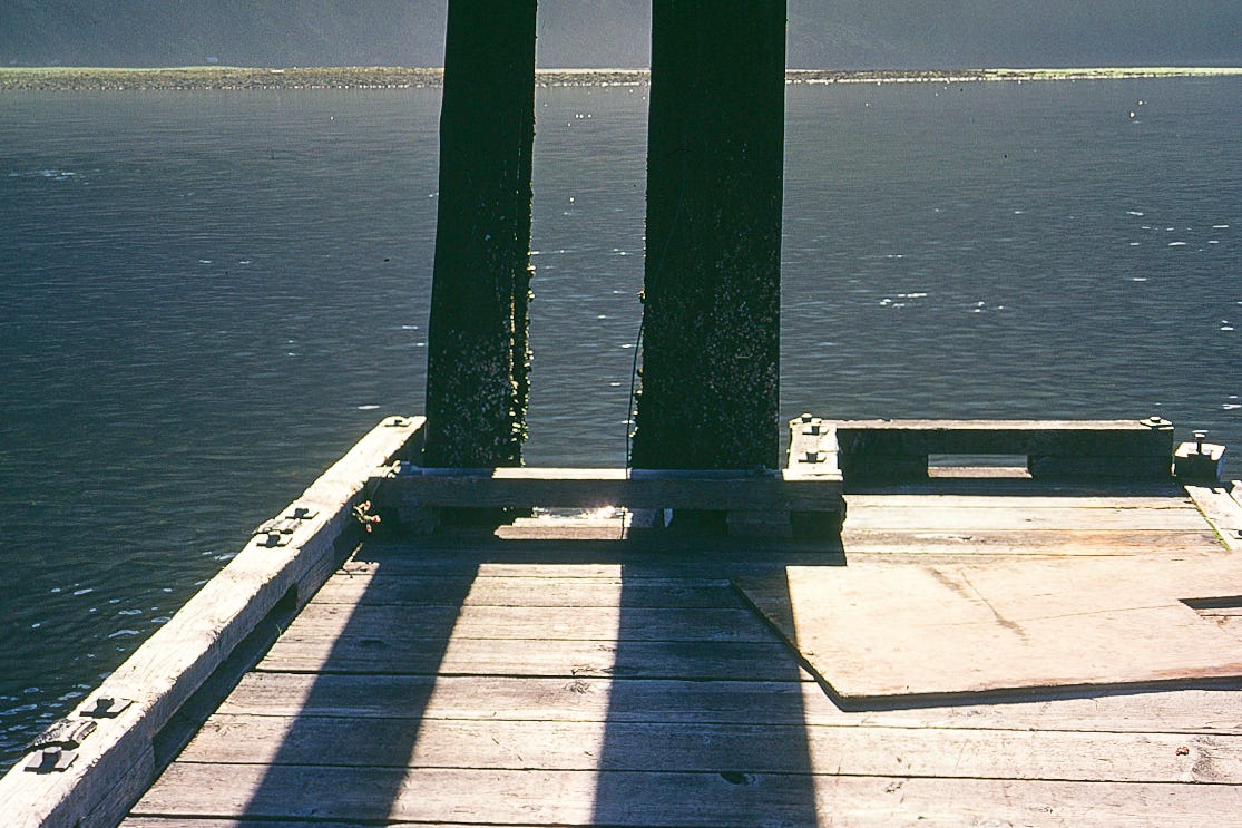 Dock and Pilings