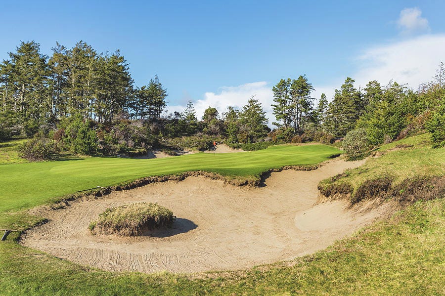 15 at Bandon Trails Golf Course Photograph by Mike Centioli - Pixels 15 at Bandon Trails Golf Course Photograph by Mike Centioli - Pixels