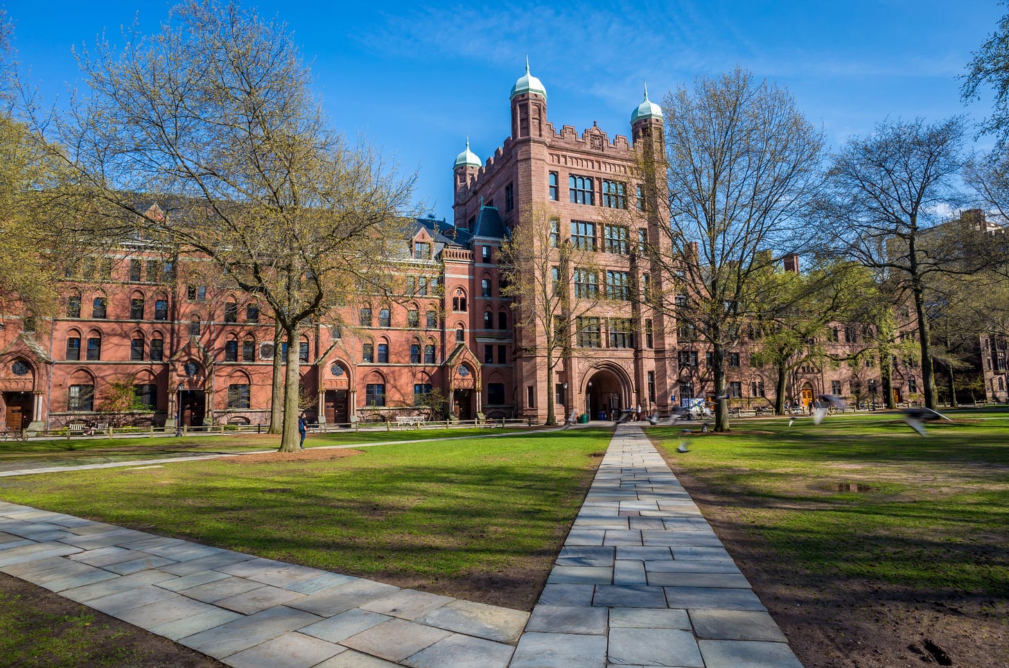 Università di Yale a Downtown New Haven: tour e visite guidate | Expedia.it