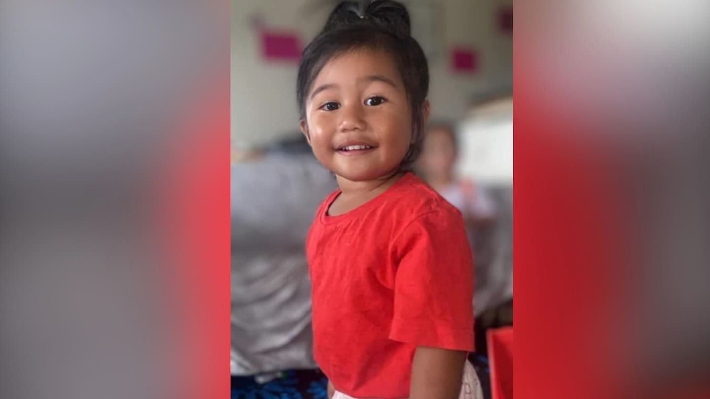 Catalya Remana Tangimetua Pepene, 3, of Kaikohe, was allegedly murdered on Wednesday. Photo / Supplied