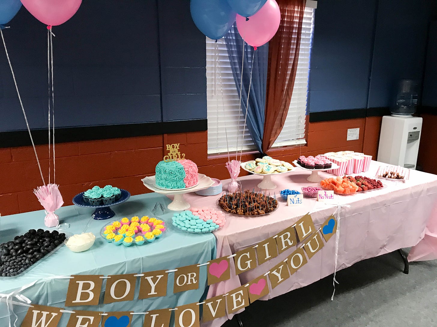 Our Gender Reveal Party! … It's a BOY! : Kendra's Treats