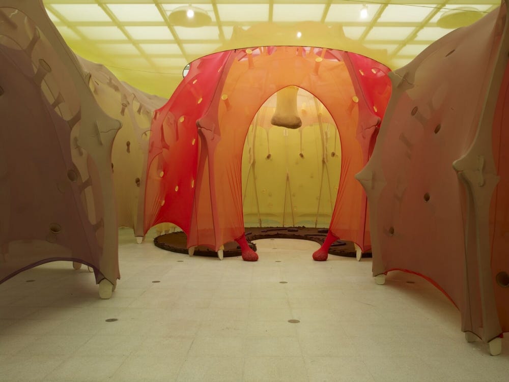 252 - Ernesto Neto