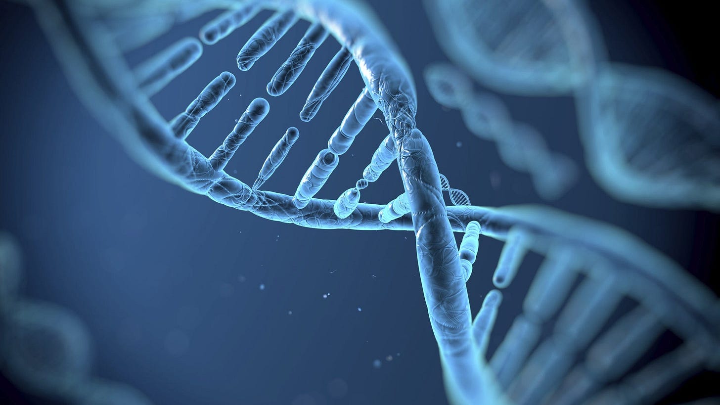 What does DNA stand for? Structure, function, types, replication