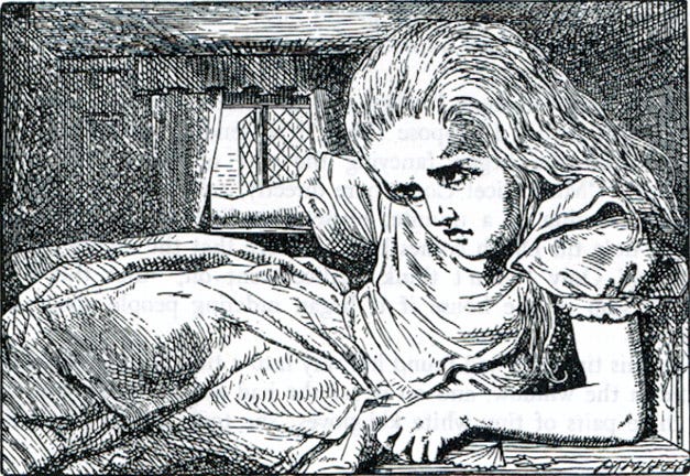 A Tenniel illustration from Alice in Wonderland.