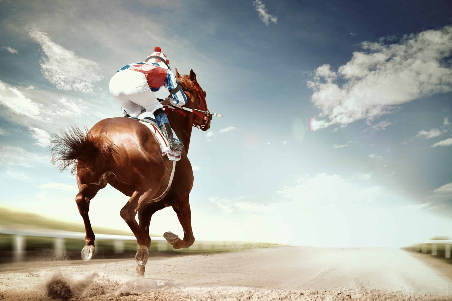 Choosing the best horse racing apps for beginners | Horse and Rider