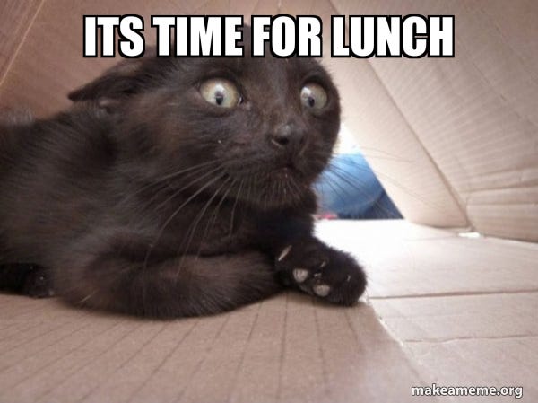 its time for lunch - Schitzo Cat | Make a Meme