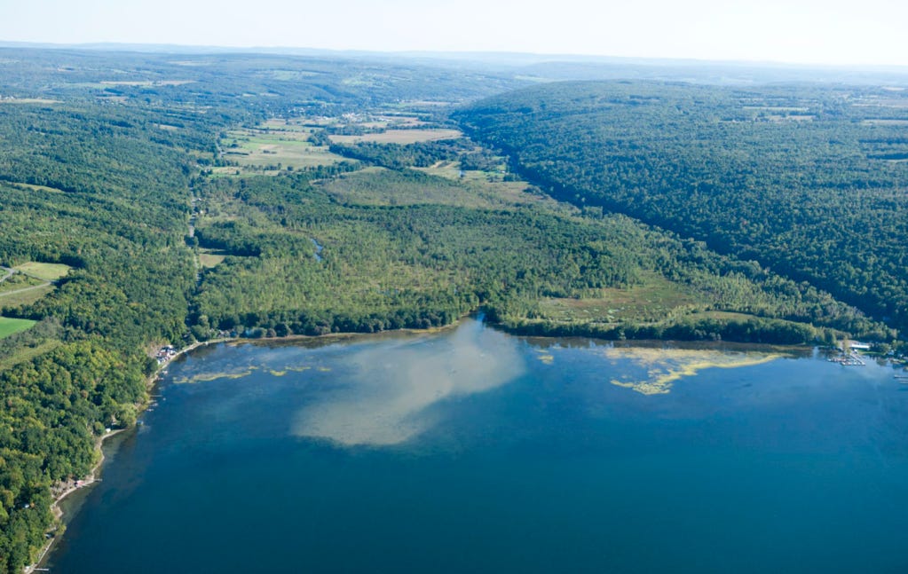 As cyanotoxins soar in Owasco Lake threatening tap water, Cayuga County  ends support for monitoring | Fingerlakes1.com