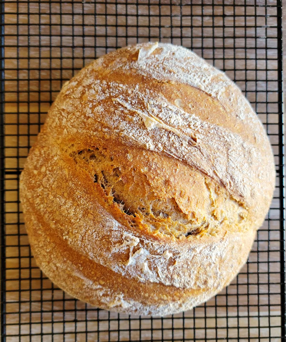 A loaf of alpine rye, cooling.