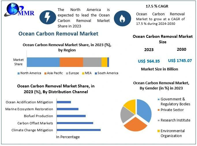 Ocean Carbon Removal Market