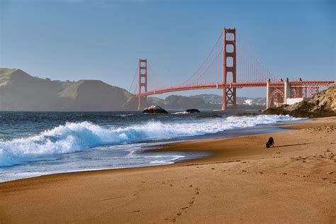 36 Best Things to Do in San Francisco | LaptrinhX / News