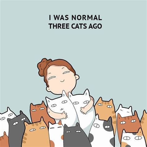 Catch the Best Of Crazy Cat Lady Funny Pictures - Hilarious Pets Pictures Catch the Best Of Crazy Cat Lady Funny Pictures - Hilarious Pets Pictures