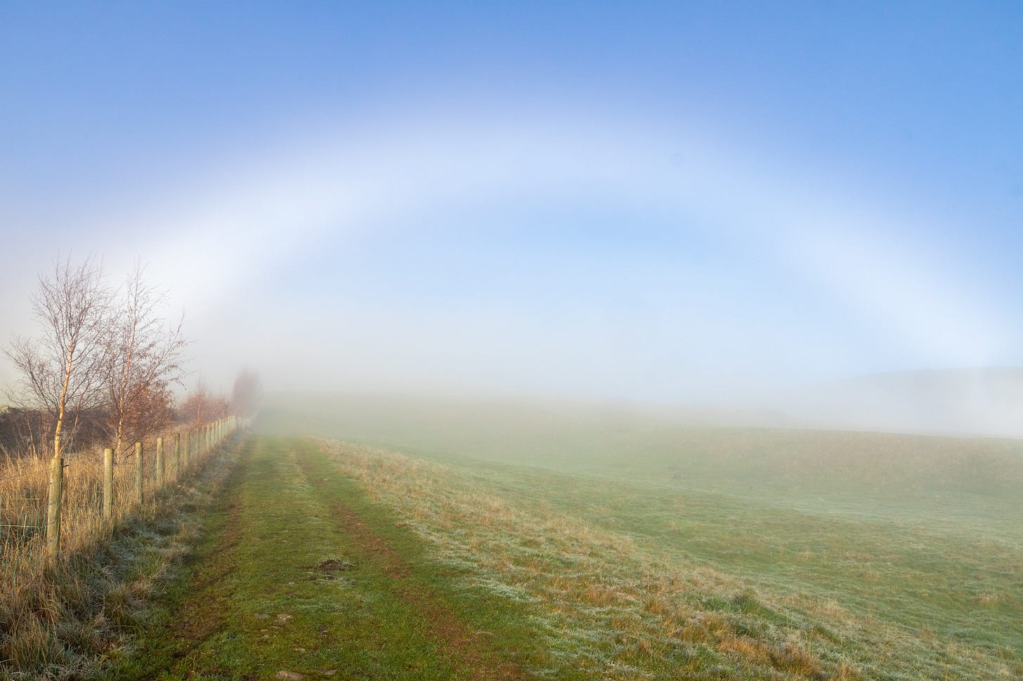 Fog bow above Galashiels. © Felicity Martin