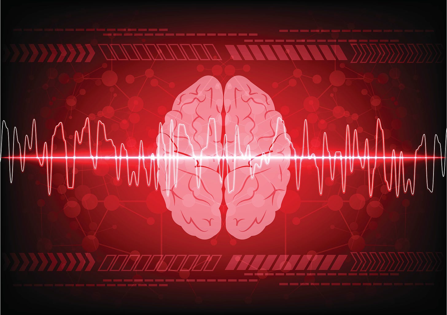a brain and EEG