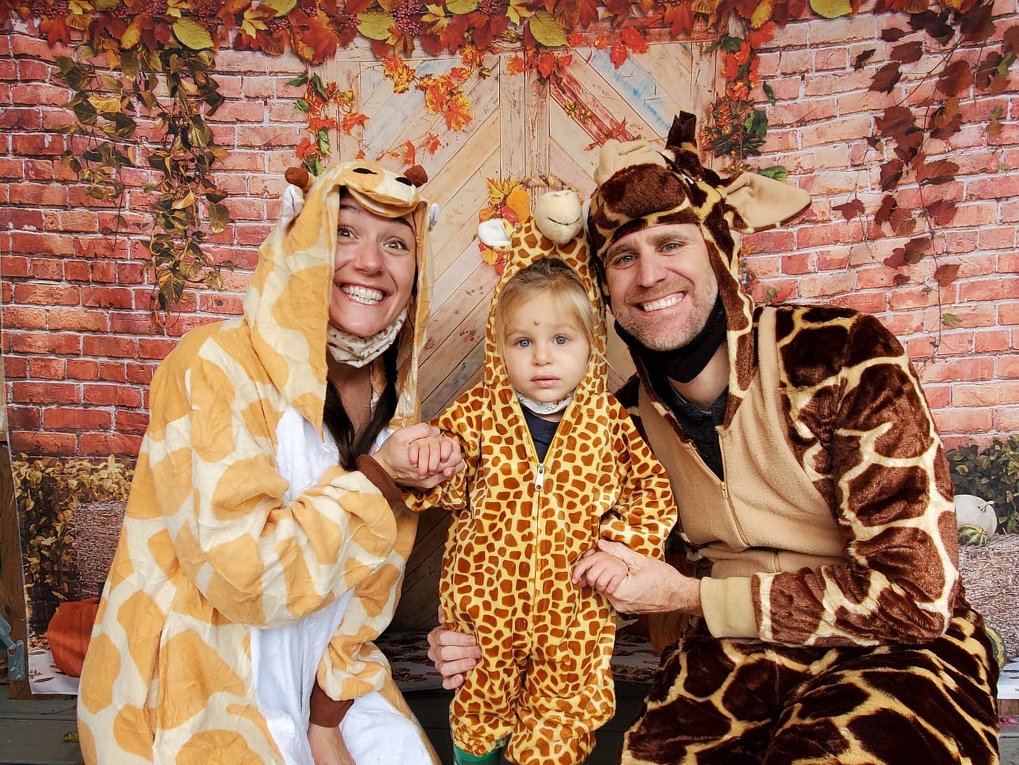 Three giraffes. Three giraffes.