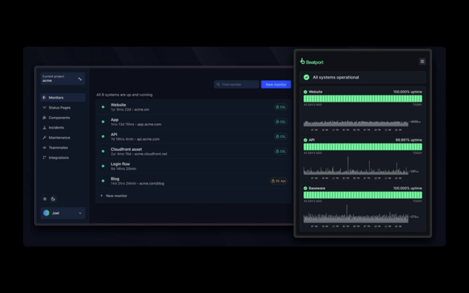 A Monitoring Tool For Websites Making $11K MRR