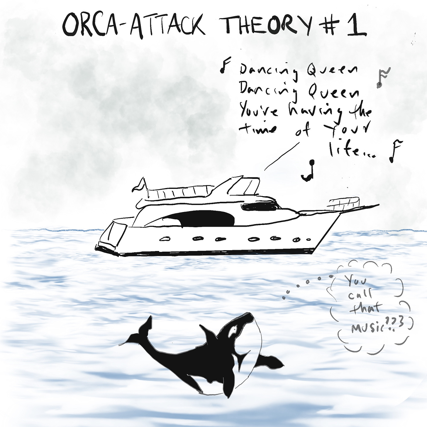 Orca contemplates a floating boat off the coast of Spain