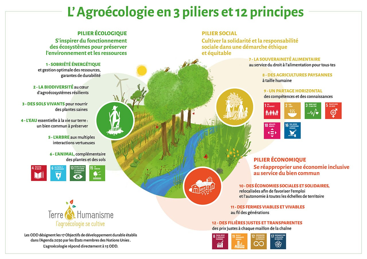Agroécologie - Définition et Fondamentaux - Agroécologie et Permaculture