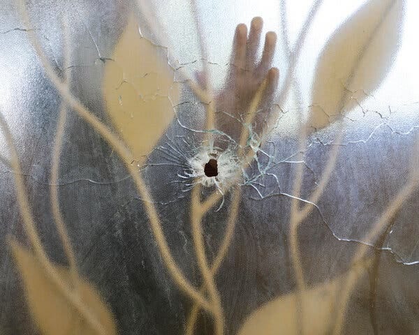 A hand reaches through a plant to touch a pane of glass that has been shattered by a bullet hole.  