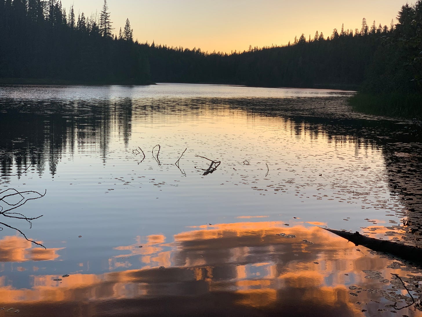 A lake at dusk, in the background, thick pines, reflected to the right, in the foreground, the remnants of peach sunset reflected like watercolor in the water
