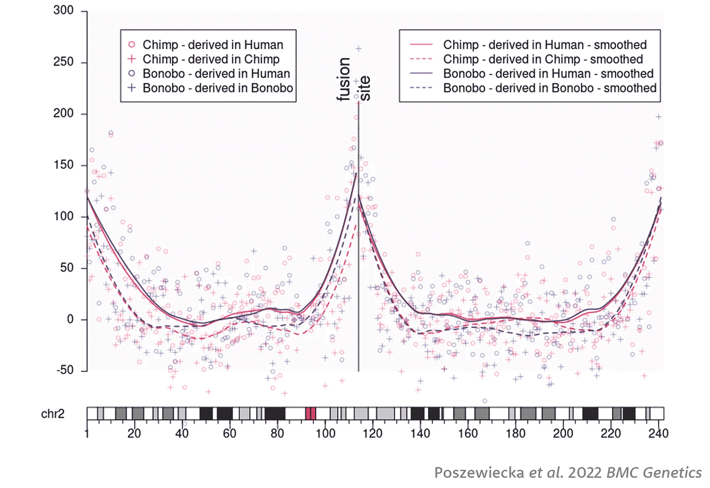 Chromosome 2 ideogram showing physical position at bottom of chart, with dots indicating 1 megabase bins, and four kinds of data for chimpanzee-derived, human-derived, and bonobo-derived cluster comparisons Chromosome 2 ideogram showing physical position at bottom of chart, with dots indicating 1 megabase bins, and four kinds of data for chimpanzee-derived, human-derived, and bonobo-derived cluster comparisons