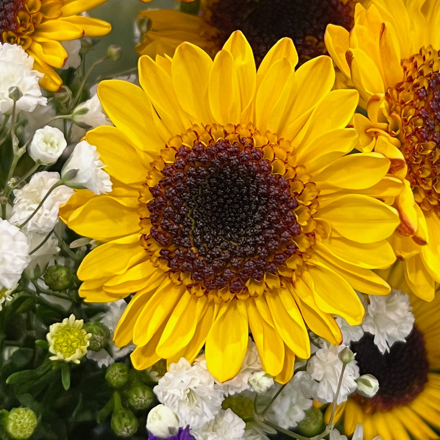 A large yellow sunflower with a brown center nestled in a bouquet of flowers