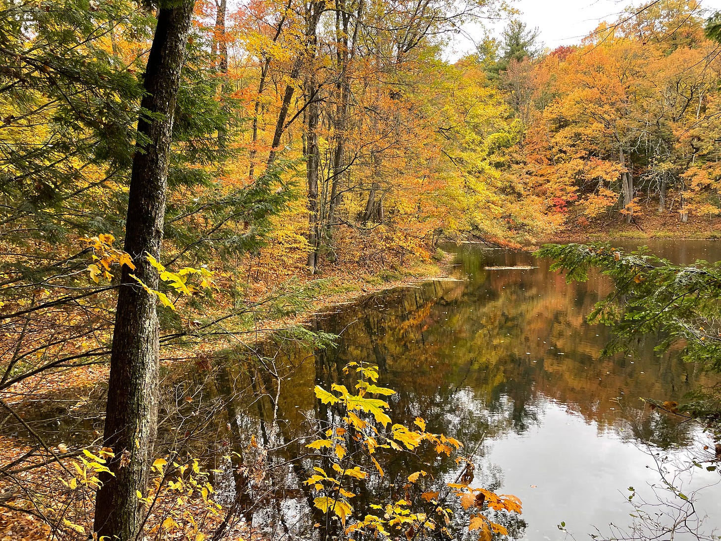 Yellow and orange trees reflecting into a glassy lake.