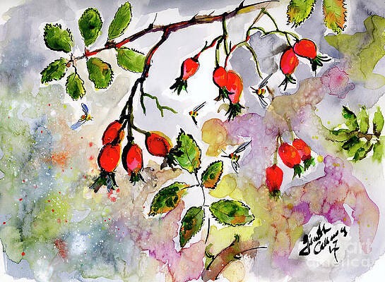 Rose Hip Paintings for Sale - Fine Art America