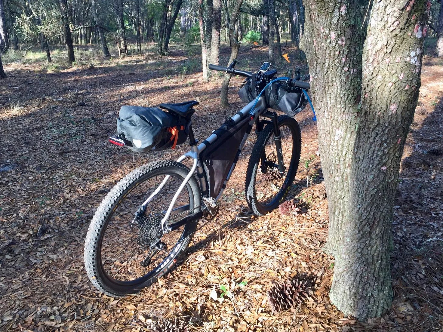 Dans les bois Dans les bois