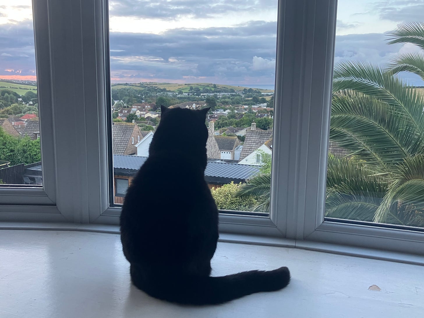 Black cat sitting in a window overlooking Weymouth in Dorset.