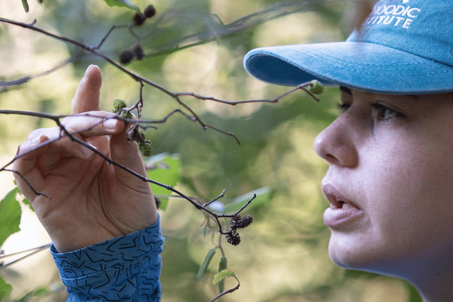 A Schoodic vegetation crew member analyzes a tagged plant in Acadia