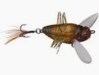 Image of Duo Realis Shinmushi Cicada Bug Semigara 1.5