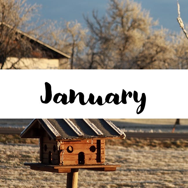 Image of a bird box in winter. In a white banner, the text reads "January"