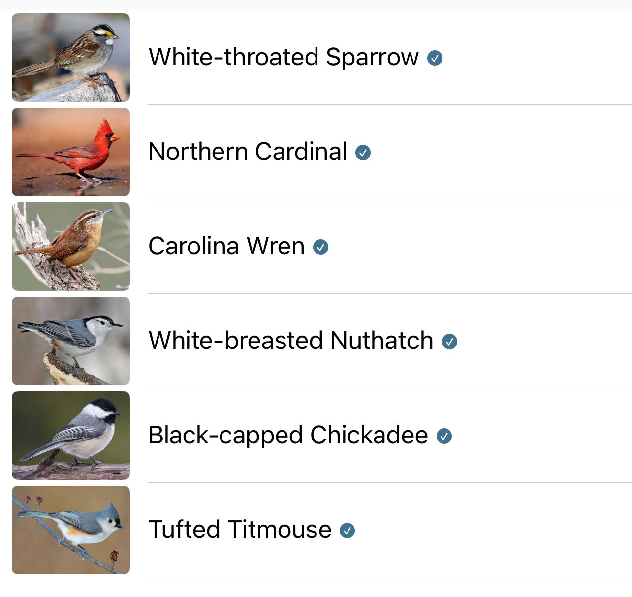 May be a Twitter screenshot of meadowlark, sparrow, tufted titmouse and text that says 'White-throated Sparrow Northern Cardinal Carolina Wren White-breasted Nuthatch Black- Black-capped Chickadee Tufted Titmouse'