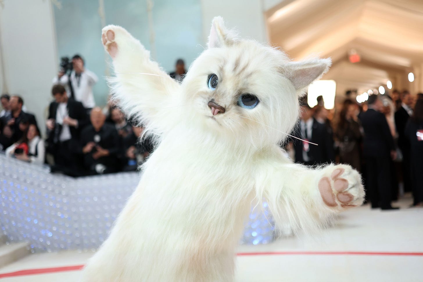Why Did Jared Leto Dress Up as a Cat for the 2023 Met Gala? Choupette  Costume, Explained