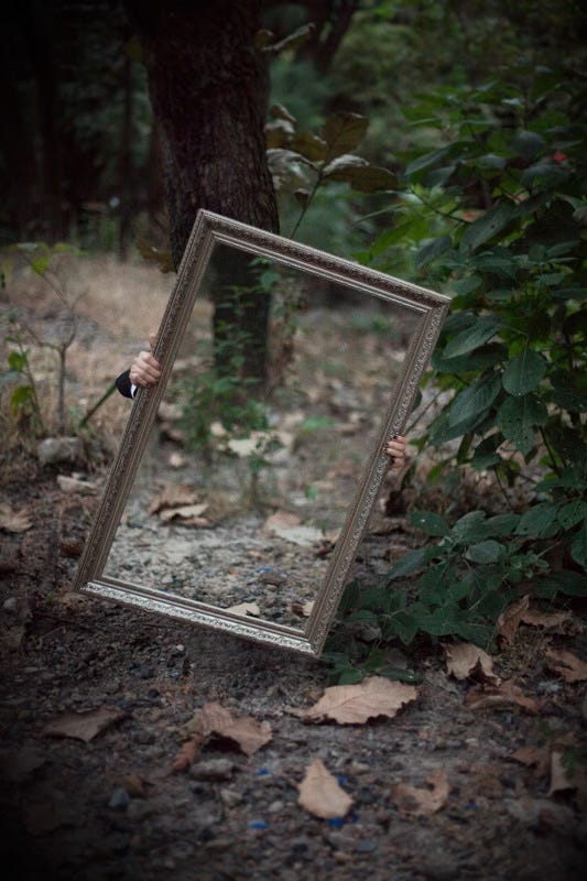 Person holding a large mirror reflecting the forest. Only their hands are visible.