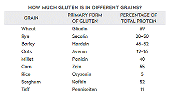 gluten proteins in all grains