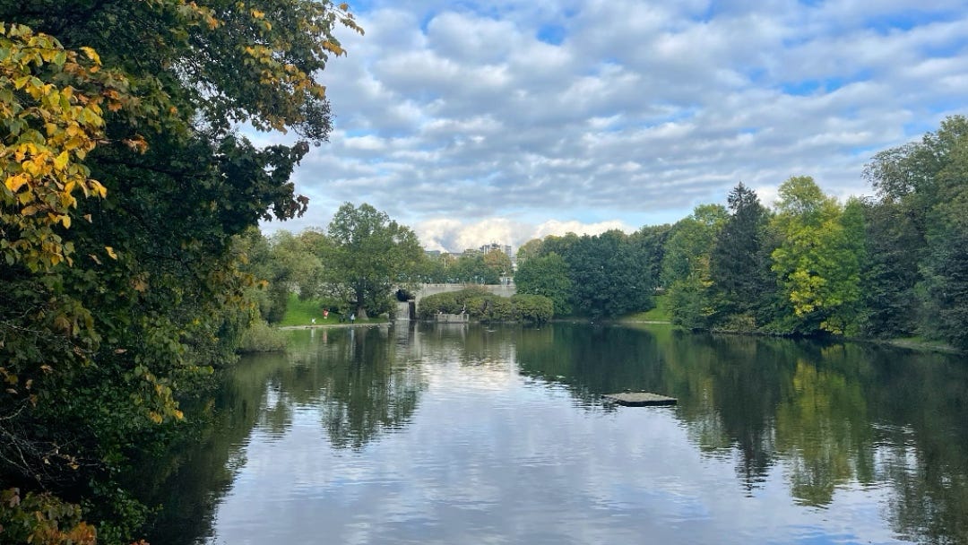 reflections on the water