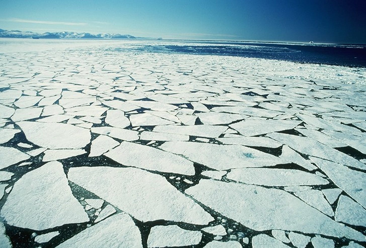 Animation: The Arctic’s Record-Breaking Ice Melt | Climate Watch | KQED ...