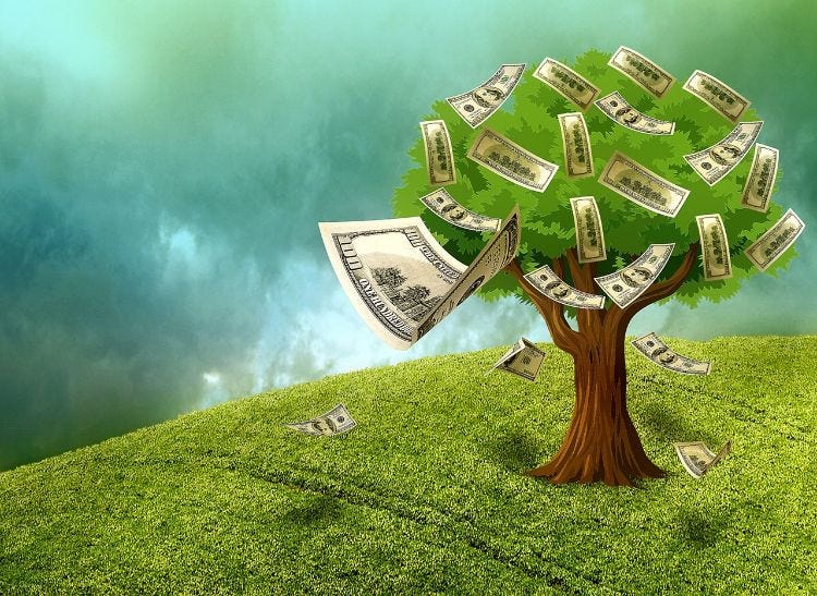 Five ways to plant the seed of investment to make your money grow - MI Money  Health