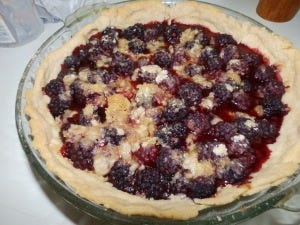 Blackberry Pie lard crust