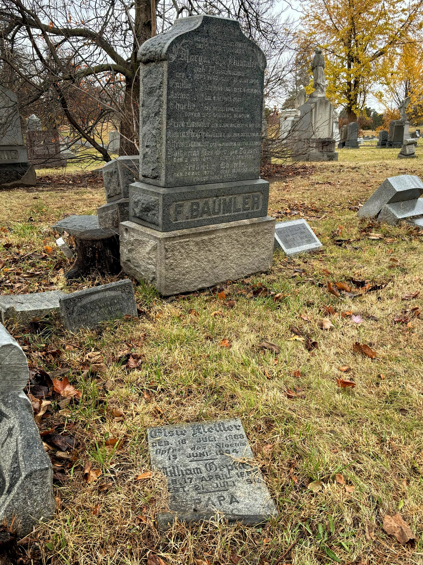 Elise Mettler's headstone, a foot off the left corner of the Baumler marker. The trees are bare or covered with leaves in an autumn gold.