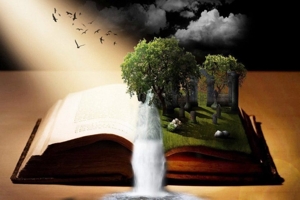 Cultivating a Biblical Imagination - in All things
