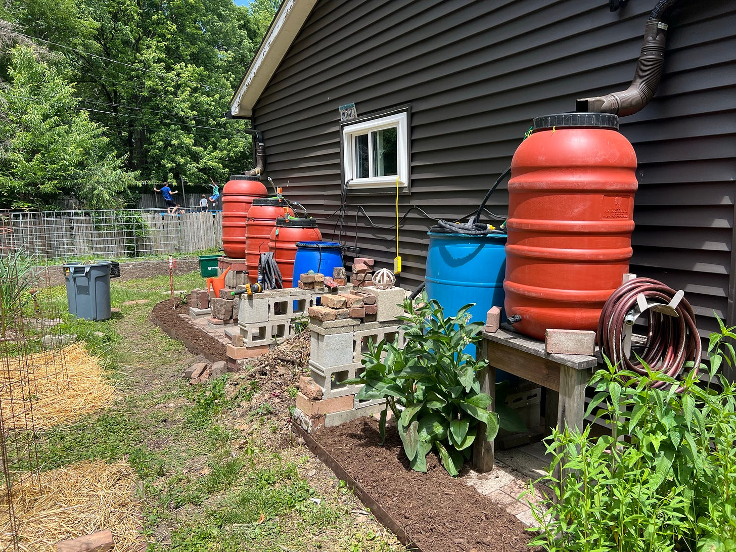Four large rain barrels and a compost pile on a sunny day behind a garage