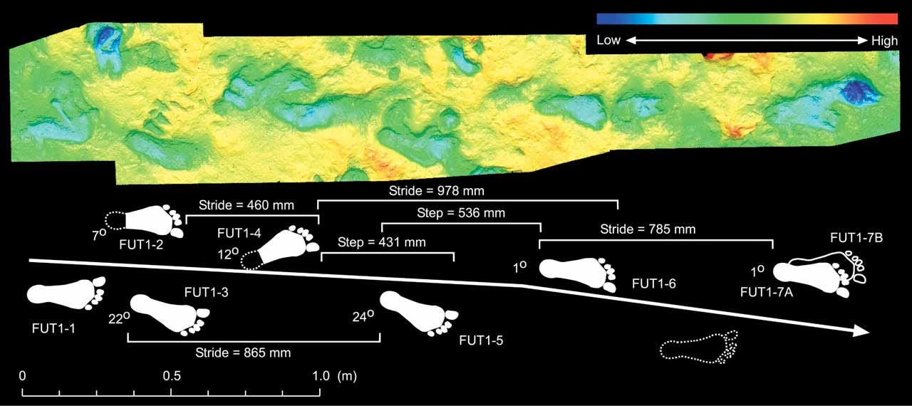Color depth scan rendering of 8 footprints with a schematic below showing the footprints and step distances Color depth scan rendering of 8 footprints with a schematic below showing the footprints and step distances