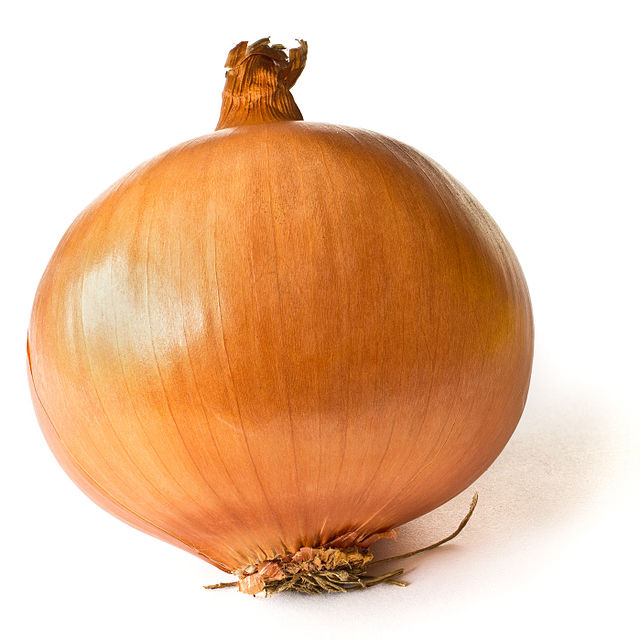 Photo of a brown onion on a white background