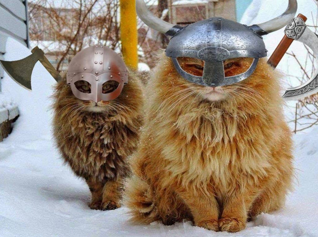 Viking Pets - Were Vikings Cat People? by Rob Shackleford – Rob Shackleford