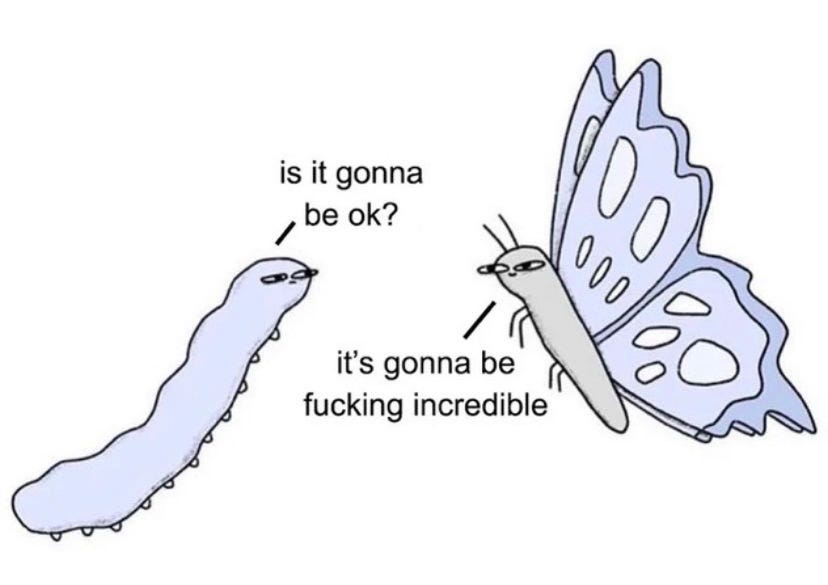 illustrated meme via @alexjenny_ (original artist unknown) of a caterpillar asking a butterfly, “is it gonna be ok?” and the butterfly replies “it’s gonna be fucking incredible”. 