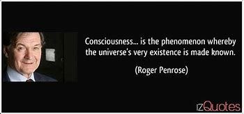 Image result for penrose consciousness