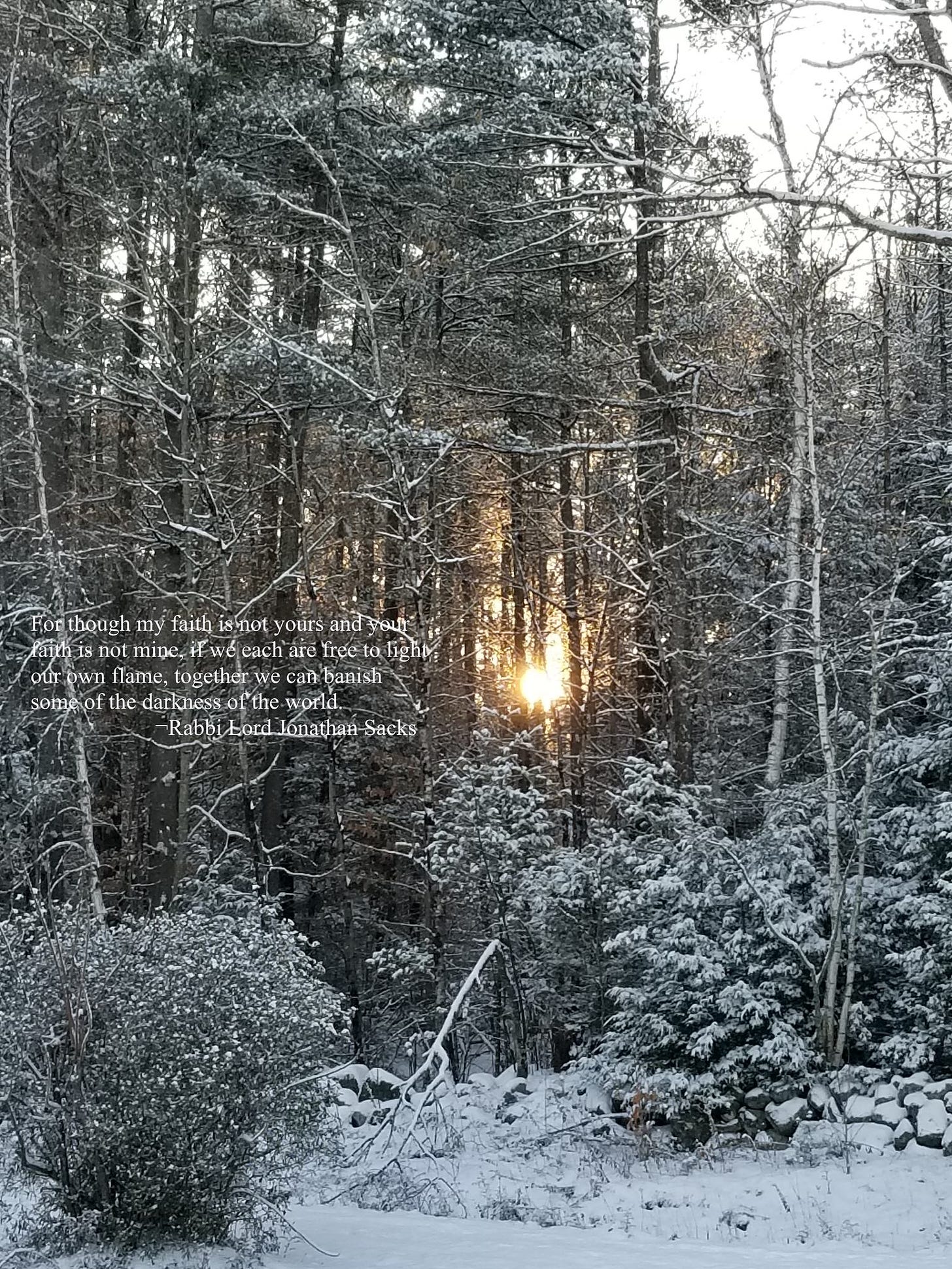 Photo taken by Wendy in her backyard of the sun just rising through snowy trees with Joanathan Saks quote on it.
