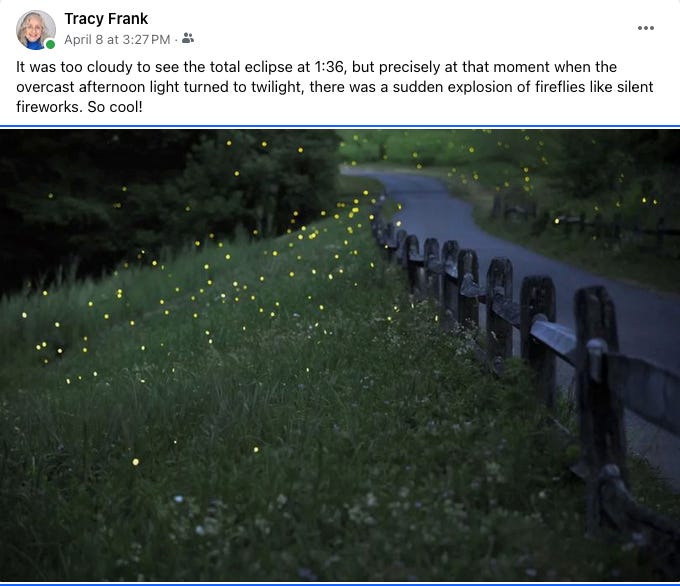 My sister's Facebook post with a photo of fireflies on the greenway in Austin.